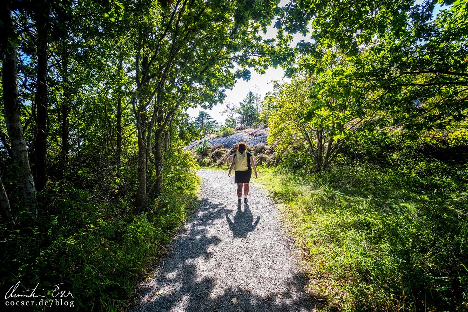 Waldweg auf der Insel Vrångö auf den Göteborger Schären