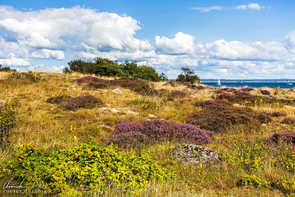 Wandergebiet Naturtongue Vrango auf den Göteborger Schären