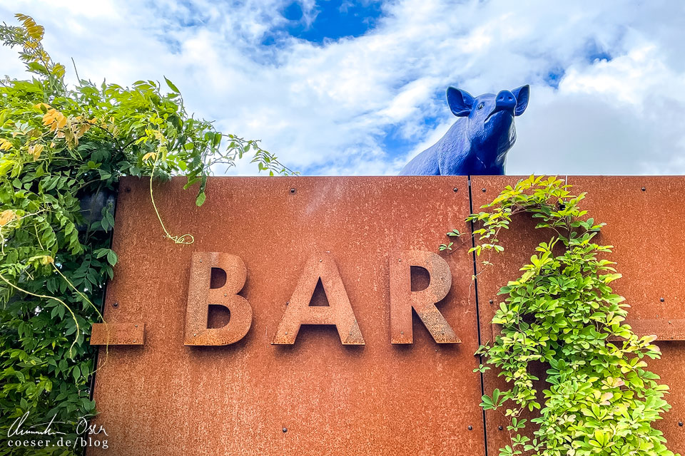 Schweine und Kühe vor dem Besucherzentrum von Absolut Vodka in Åhus, Schweden