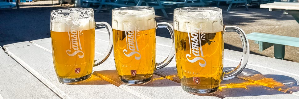 Drei Gläser Samson-Bier in Budweis