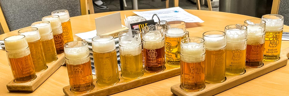 Brauereien in Budweis: Minipivovar Krajinská 27