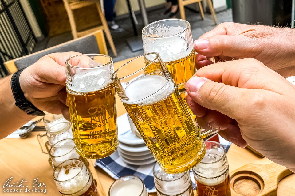 Brauerei Minipivovar Krajinská 27 in Budweis: Tasting Set