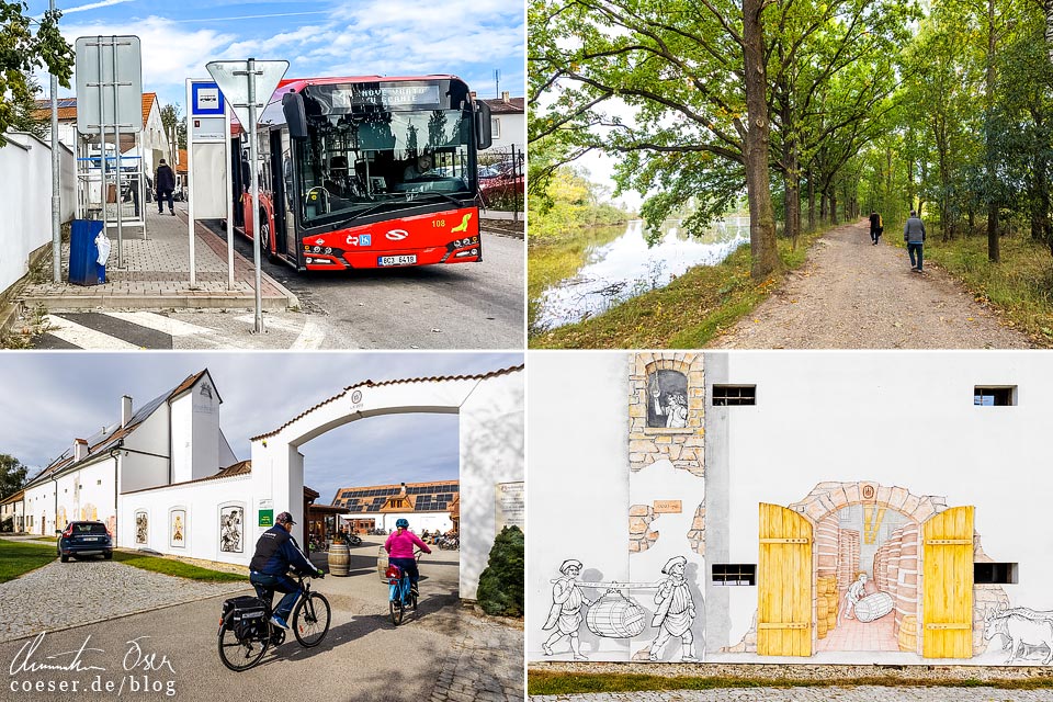 Brauerei Minipivovar Kněžínek in Budweis: Anfahrt mit Bus und Wanderung