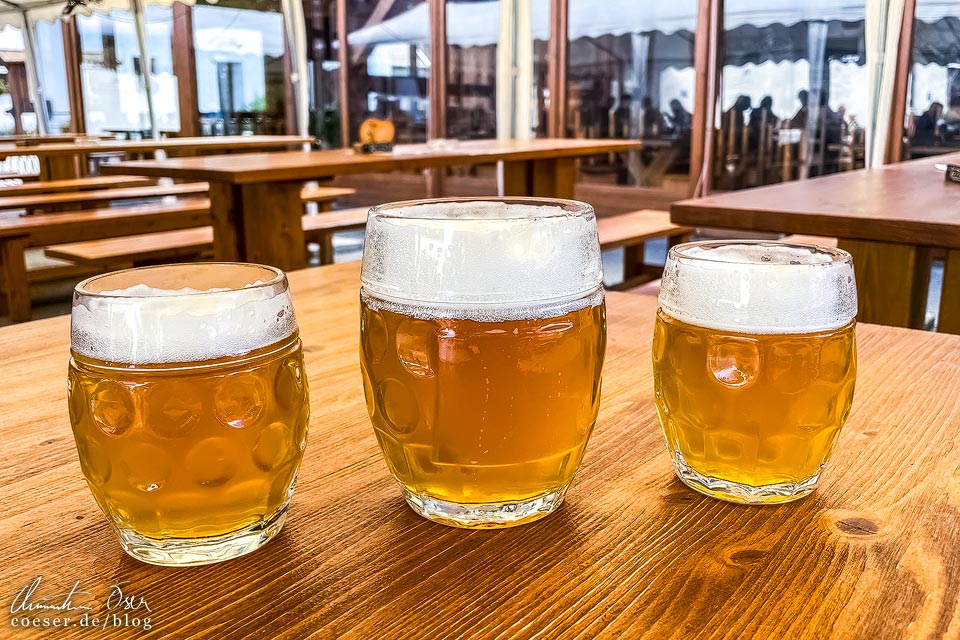 Brauerei Minipivovar Kněžínek in Budweis: Biergläser