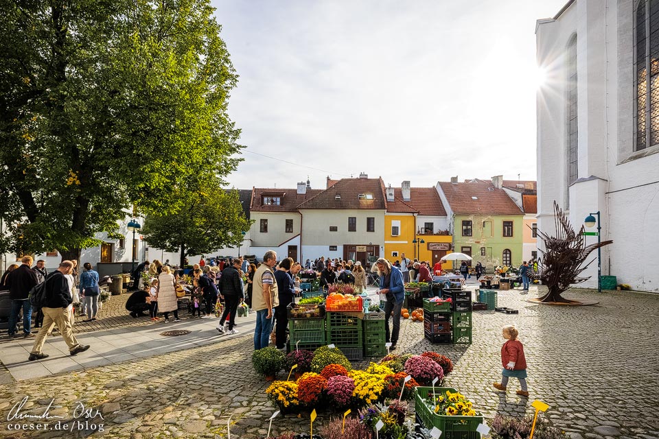 Bauernmarkt am Piaristenplatz vor dem Dominikanerkloster in Budweis (České Budějovice)