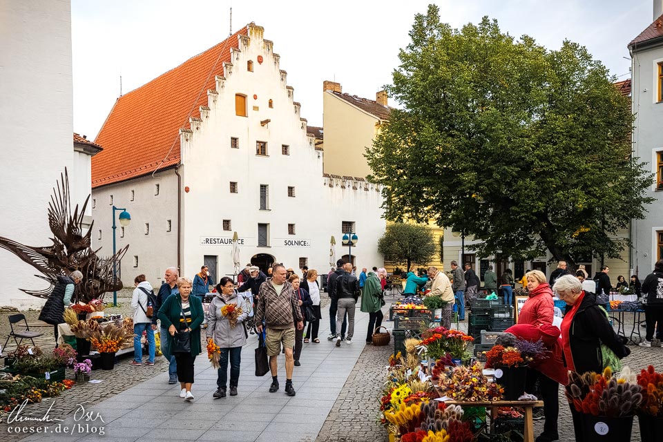 Salzhaus (Solnice) und Bauernmarkt am Piaristenplatz vor dem Dominikanerkloster in Budweis (České Budějovice)