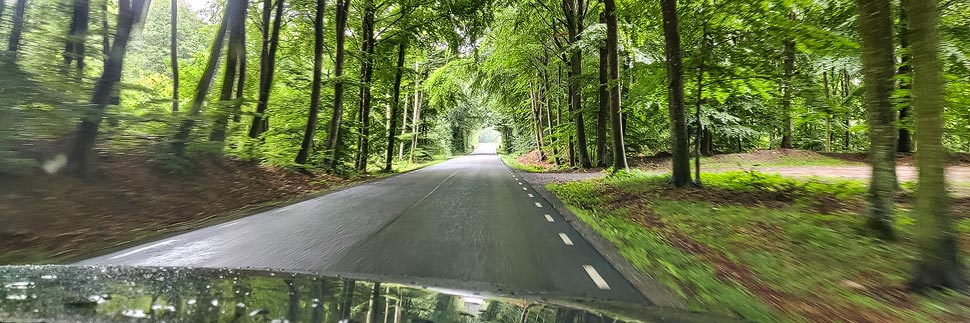 Autofahrt durch einen Wald in Schweden