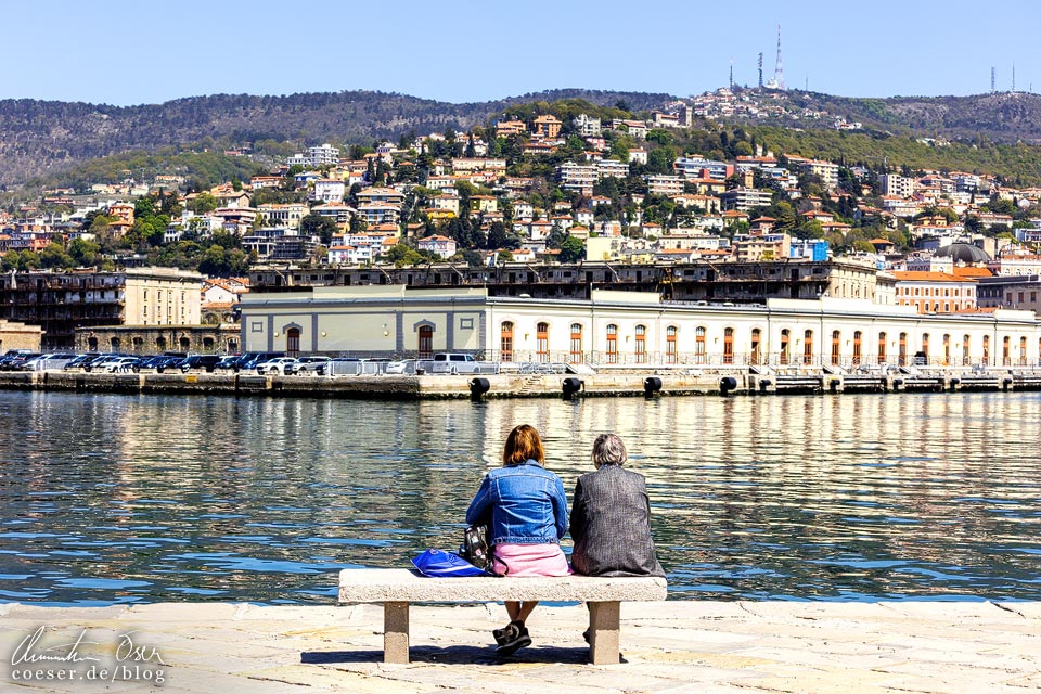 Blick von der Molo Audace auf Wohngebiete in Triest