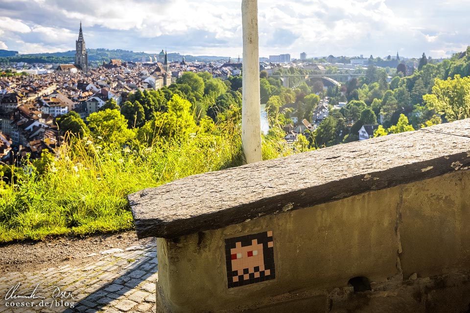 Space Invader BRN_14 im Rosengarten von Bern