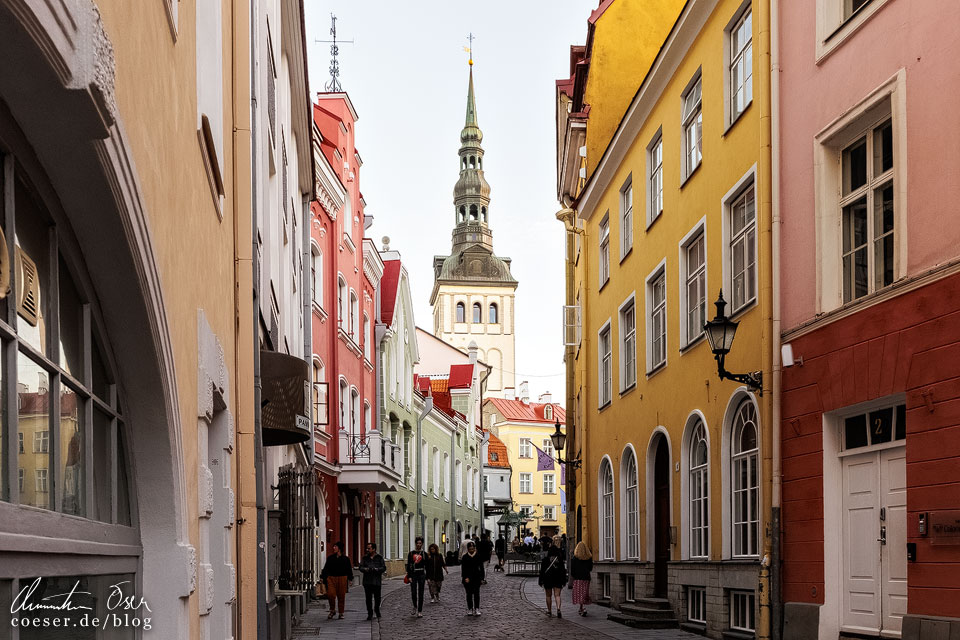 Historische Häuser und Blick auf die St. Nikolai Kirche in der Altstadt von Tallinn