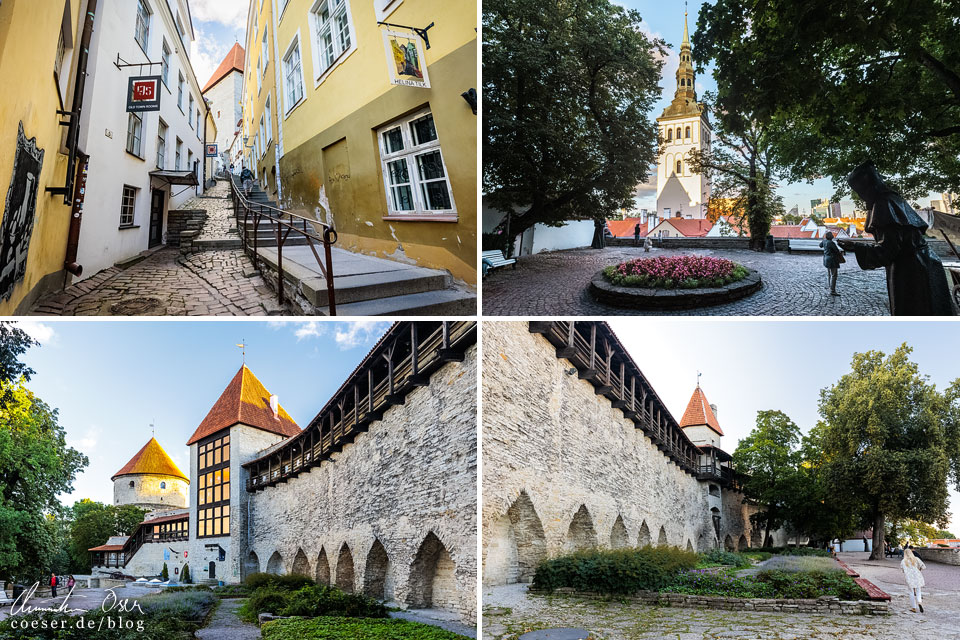 Garten des dänischen Königs und Festungsmuseum auf dem Domberg in Tallinn