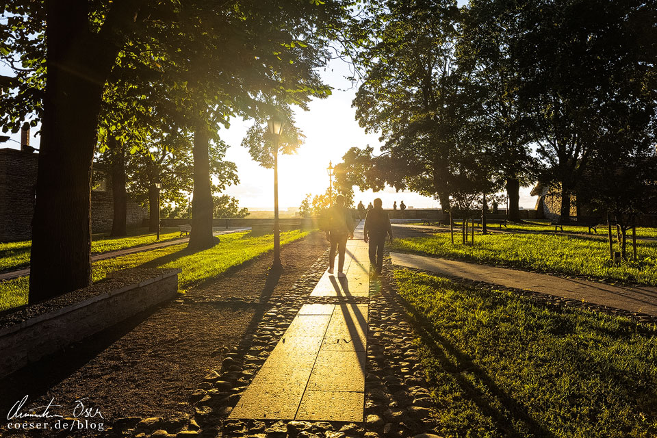 Sonnenuntergang auf der Aussichtsplattform Piiskopi in Tallinn