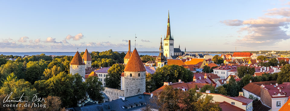 Blick auf die Altstadt von Tallinn von der Aussichtsplattform Patkuli