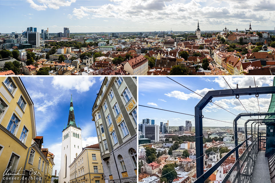 Aussicht vom Turm der Olaikirche in der Altstadt von Tallinn