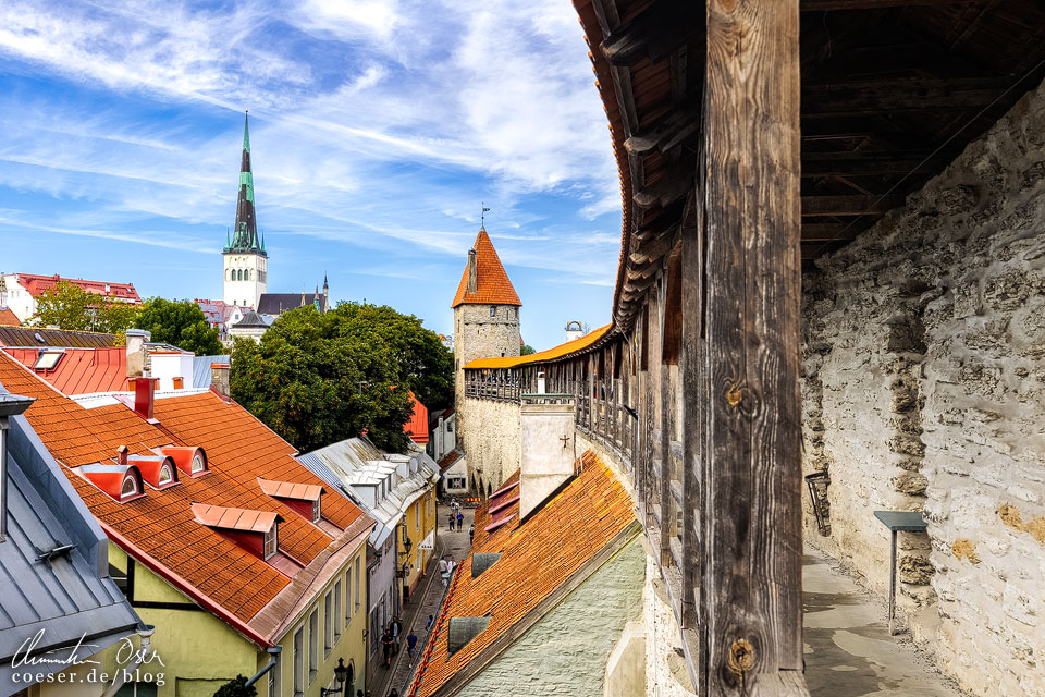 Der Hellemann-Turm und die Stadtmauer in Tallinn