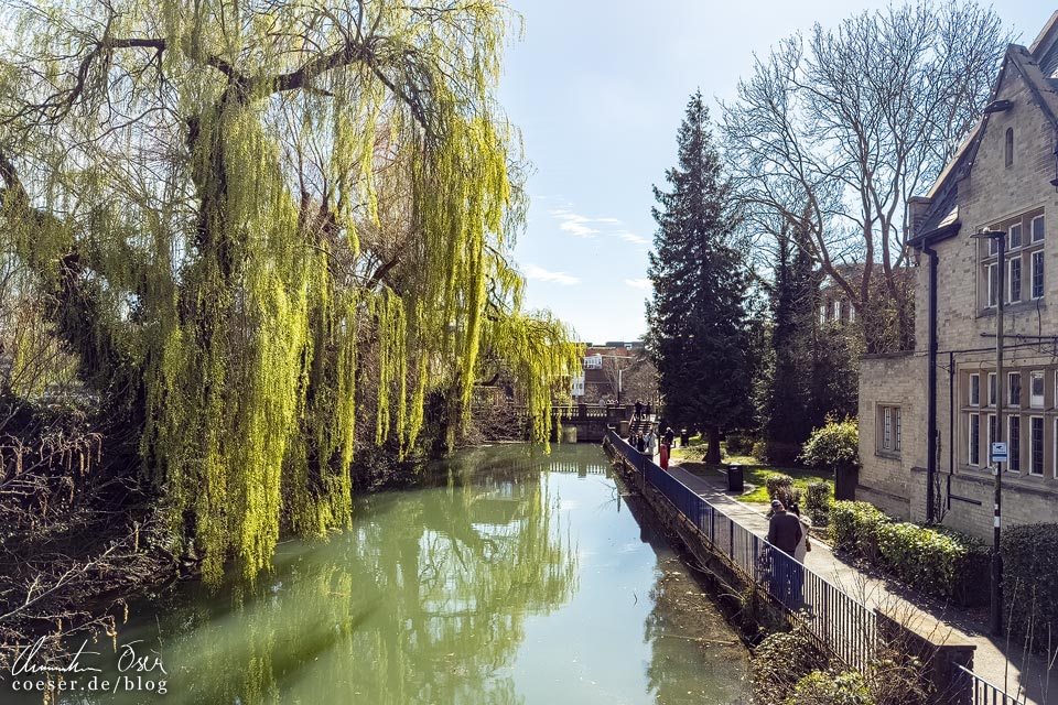 Der Kanal Castle Mill Stream in Oxford