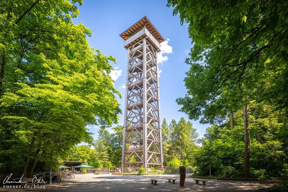 Fotospots Frankfurt: Der nach einem Brand wiedererrichtete Goetheturm