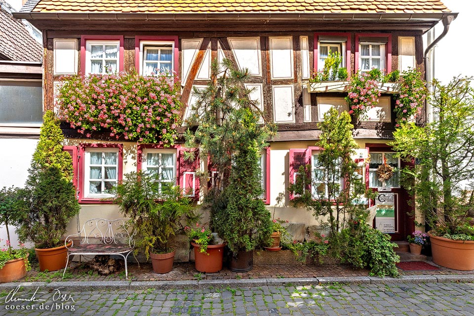 Fotospots Frankfurt: Fachwerkhäuser in Höchst