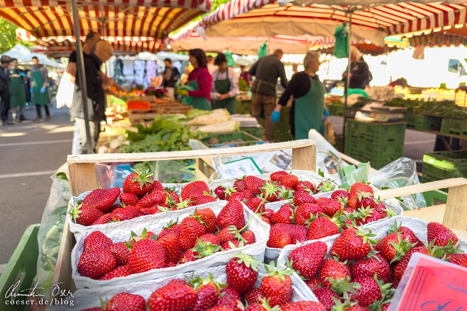 Bauernmarkt (Wochenmarkt) in Höchst in Frankfurt am Main