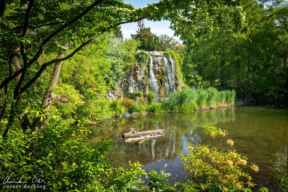 Wasserfall im Großen Weiher im Palmengarten in Frankfurt am Main