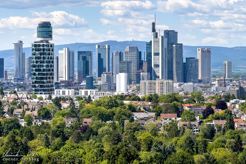 Skyline von Frankfurt mit Wolkenkratzern und Hochhäusern vom Goetheturm aus gesehen