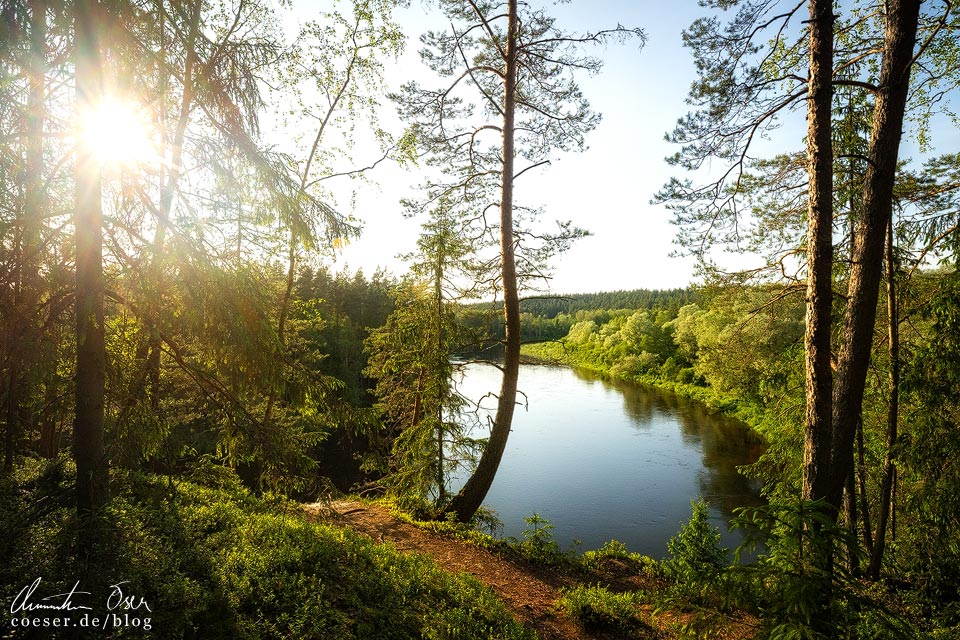 Wanderung zum Aussichtspunkt am Adlerfelsen (Ērgļu klintis) im Nationalpark Gauja in Cesis, Lettland