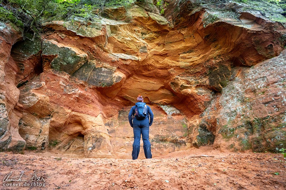 Wanderung zu den Raiskums Red Cliffs (Sarkanās klintis) im Nationalpark Gauja in Cesis, Lettland