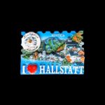 Reisesouvenir-Magnet aus Hallstatt, Österreich