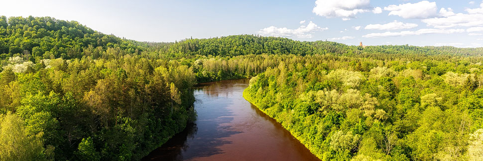 Blick von der Seilbahn auf den Nationalpark Gauja in Sigulda, Lettland