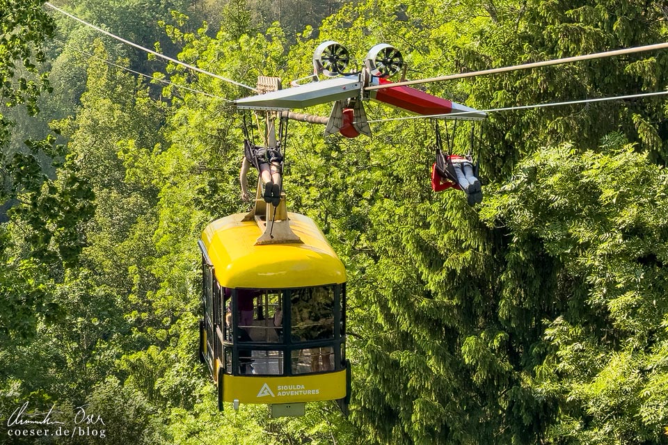 Flying Fox Turbo Zērglis auf der Seilbahn von Sigulda, Lettland
