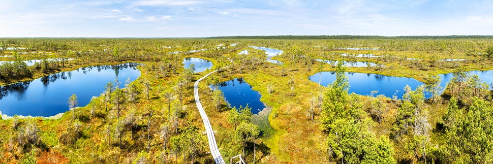 Panorama des Hochmoors im Nationalpark Kemeri in Lettland