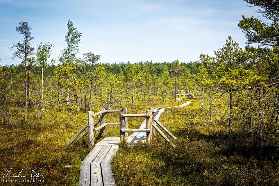 Nationalpark Kemeri: Wanderweg im Großen Kemeri-Moor