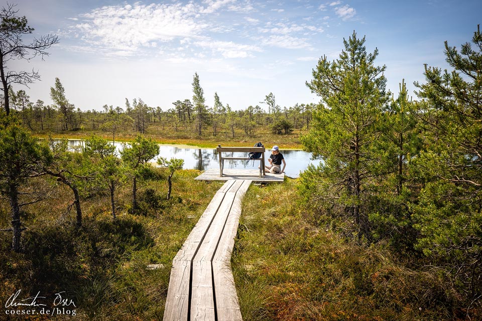 Nationalpark Kemeri: Ruheplatz am Wanderweg im Großen Kemeri-Moor