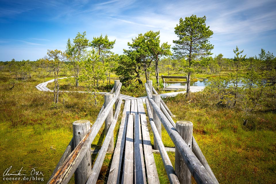 Nationalpark Kemeri: Wanderweg im Großen Kemeri-Moor