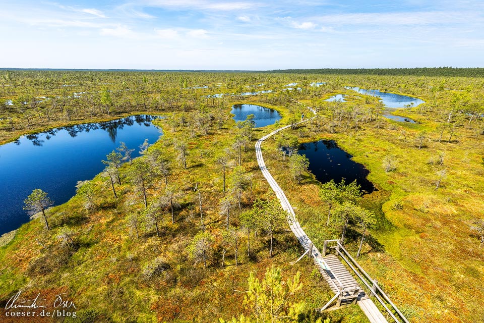 Nationalpark Kemeri: Ausblick vom Aussichtsturm auf das Große Kemeri-Moor