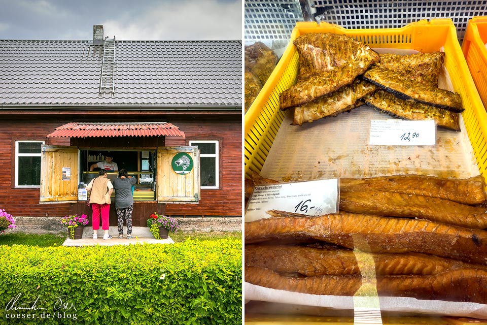Fischgeschäft Mājās kūpinātas zivis in Mērsrags, Lettland