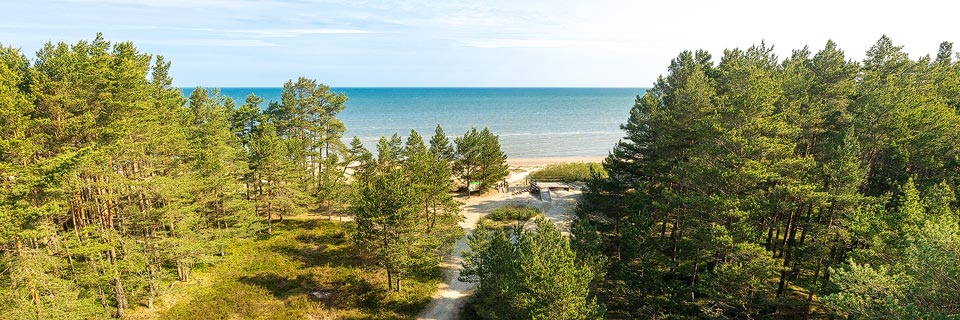 Blick vom Aussichtsturm auf den Föhrenwald und den Strand von Kap Kolka, Lettland