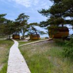Holzfässer in der Unterkunft Kempings Saulesmājas in Kap Kolka, Lettland