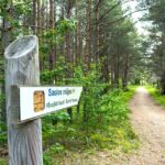 Zugang vom Parkplatz zur Unterkunft Kempings Saulesmājas in Kap Kolka, Lettland