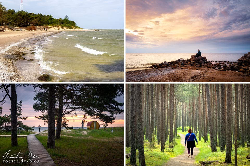 Fotos und Eindrücke aus Kap Kolka: Strand, Sonnenuntergang, Sonnenaufgang und Kiefernwald