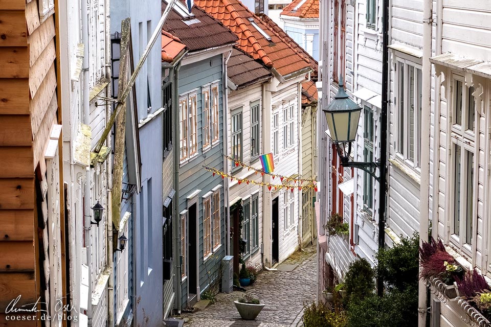 Enge Gasse Knøsesmauet im Stadtviertel Nordnes in Bergen, Norwegen