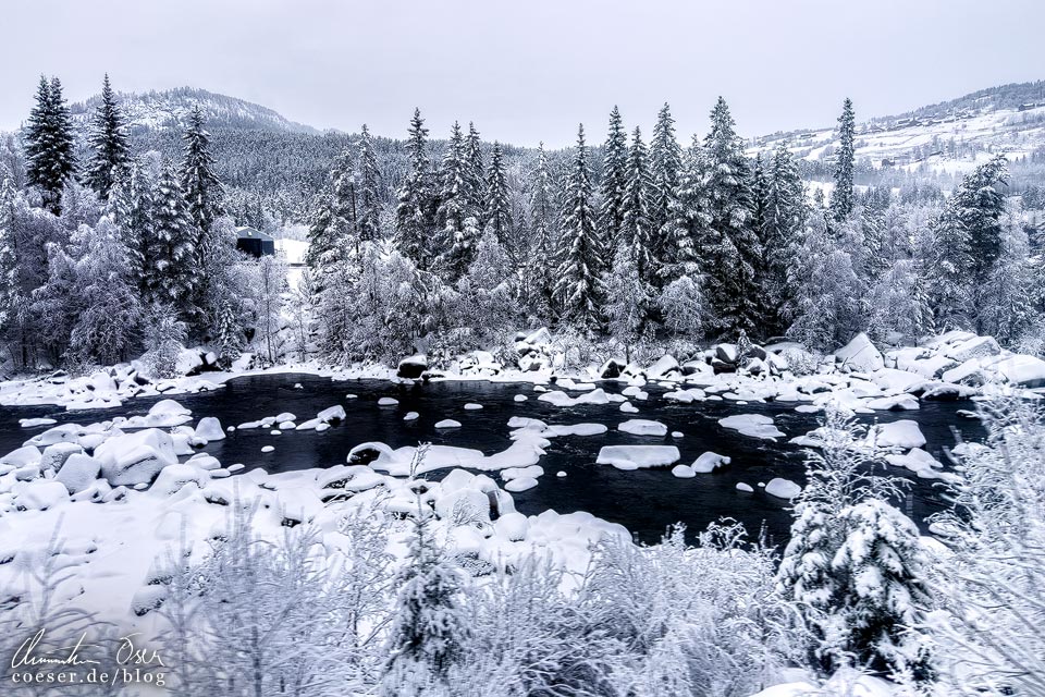 Blick aus der Bergensbanen auf eine Winterlandschaft in Norwegen