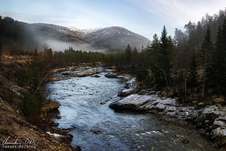 Blick aus der Bergensbanen auf eine Landschaft in Norwegen