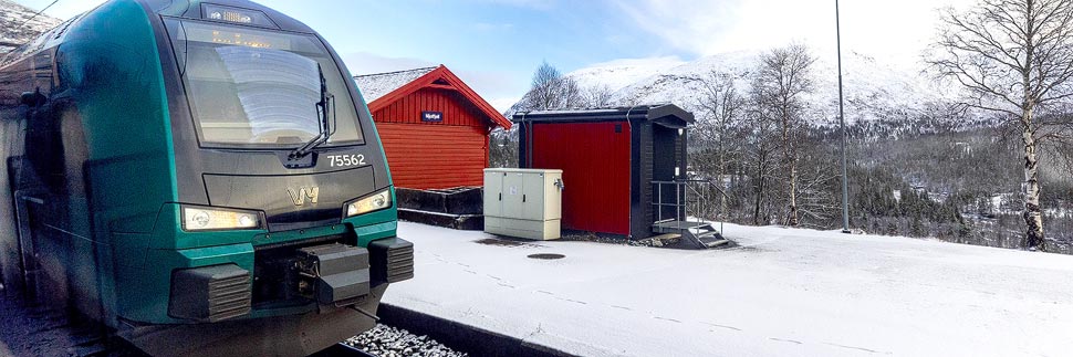 Zug der Bergensbanen im Bahnhof Mjølfjell, Norwegen