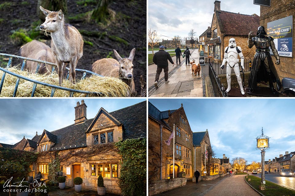 Fotos aus Broadway, Cotswolds: Rotwild-Gehege, The Man Cave, Hotel The Lygon Arms