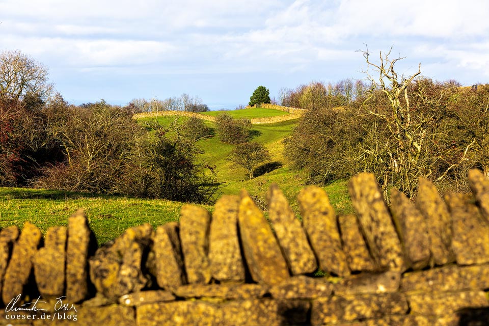 Trockensteinmauer (Dry stone wall) vor einer Landschaft in den Cotswolds