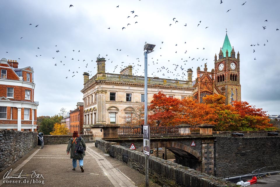 Blick von der Stadtmauer auf das Rathaus (Guild Hall) von Derry/Londonderry, Nordirland