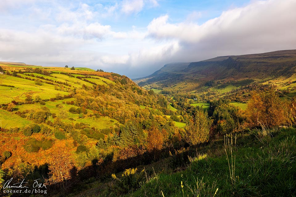Herbstlandschaft im Glenariff Forest in Nordirland