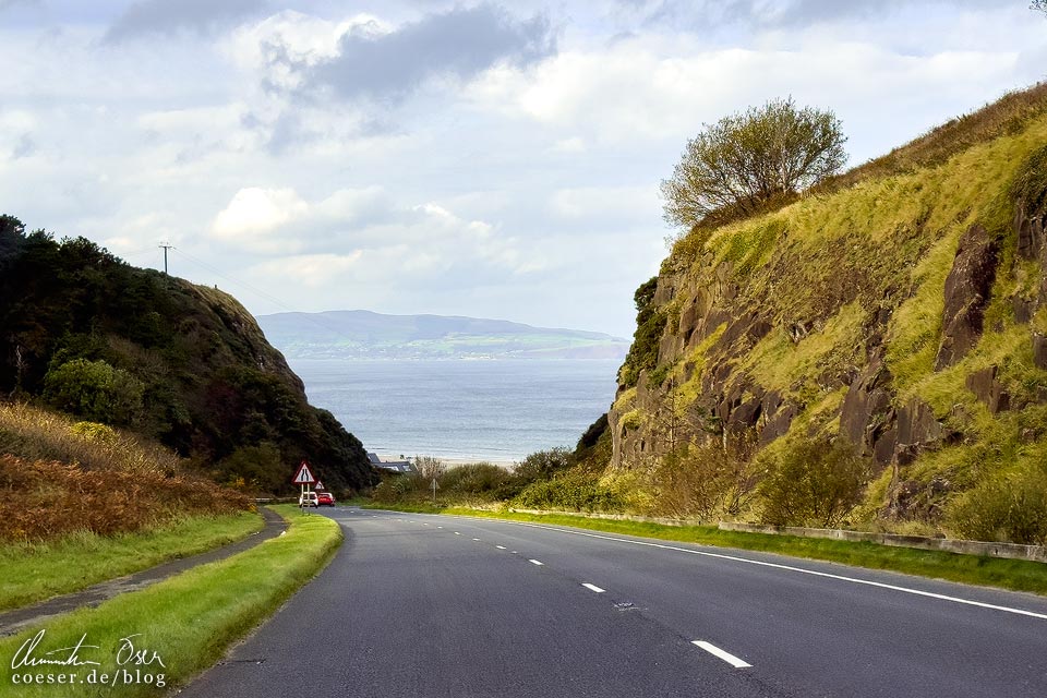 Linksverkehr auf der Straße beim Mussenden-Tempel (Castlerock) an der Causeway Coastal Route in Nordirland