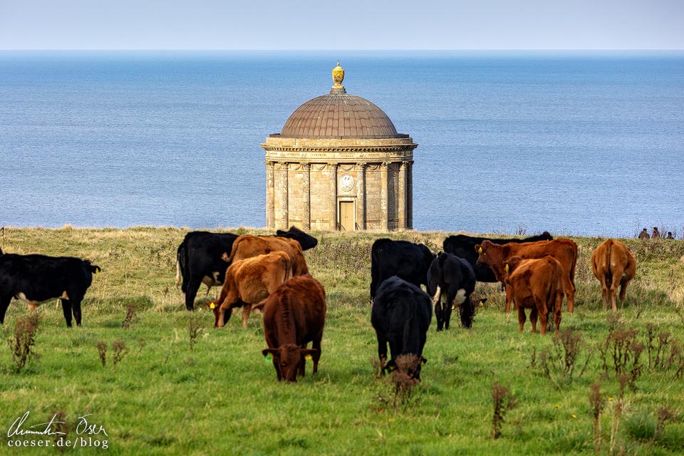Mussenden Temple an der Causeway Coastal Route in Nordirland